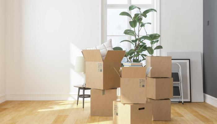 Boxes and items packed for PCS move.