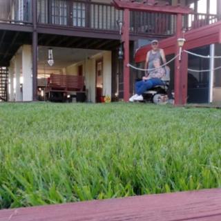 Photo submission from Burton C.