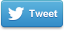 Share This Page on Twitter